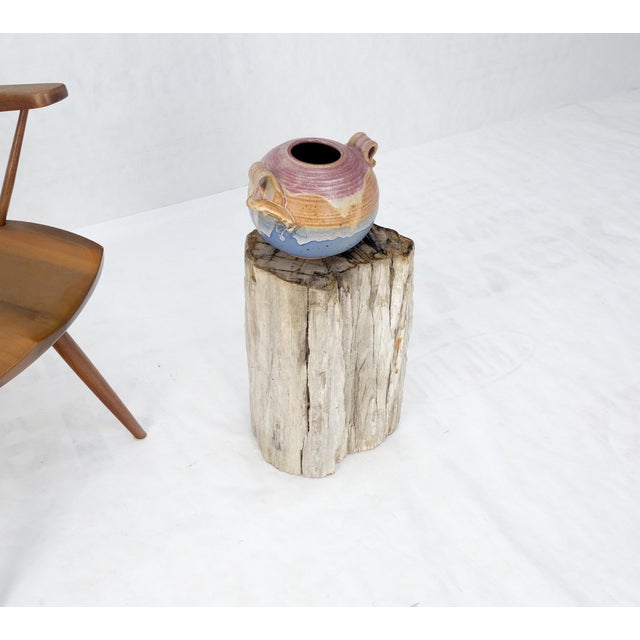 Beige Large Beige Petrified Wood Organic Stomp Shape Stand End Side Table Pedestal For Sale - Image 8 of 10