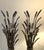 Mid-Century Modern Wheat Sheath Candle Holders For Sale - Image 3 of 7