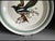 Vintage Portmeirion Birds of Britain Magpie Dinner Plate – Green Band For Sale In Savannah - Image 6 of 7