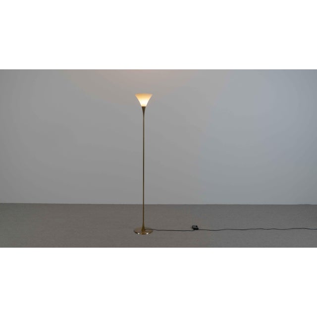 Lonea Floor Lamp in Brass by Florian Schulz For Sale - Image 14 of 14