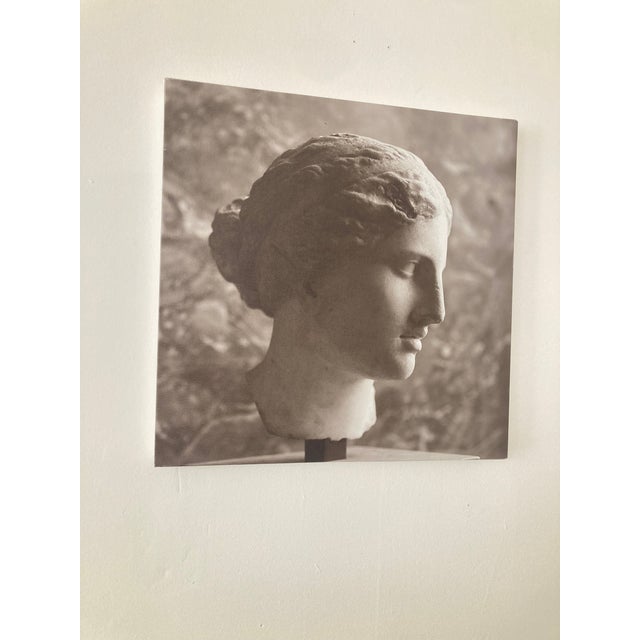 Modern William Gray Harris Photograph on Canvas “ Aphrodite of Kindos" For Sale - Image 3 of 9