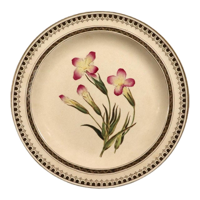 Wedgwood Creamware Botanical Specimen Plate With Pink Flowers and Brown Printed Border Dated 1862 For Sale