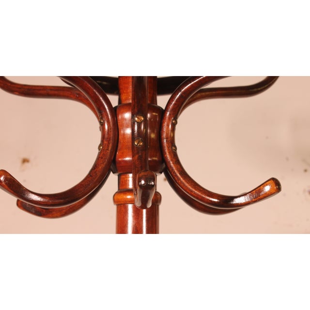 Wood Art Nouveau Parrot Coat Rack, 1920s For Sale - Image 7 of 9