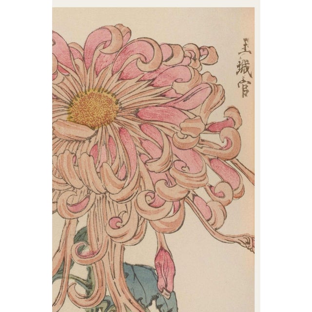 Japanese Pink Floral Giclee, Vintage Japanese Botanical Art Print, 40" X 60" For Sale - Image 3 of 8