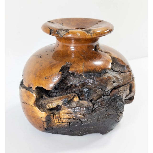 Mid-Century Modern Turned Walnut Burl Burlwood Vase For Sale - Image 4 of 11