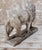 Antique Stone Medici Lion, 1920 For Sale - Image 6 of 9