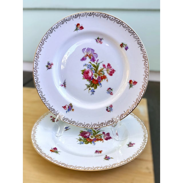 Dresden Porcelain Dresden Hand Painted Mid-Century Dinner Plates - Set of 10 For Sale - Image 4 of 12