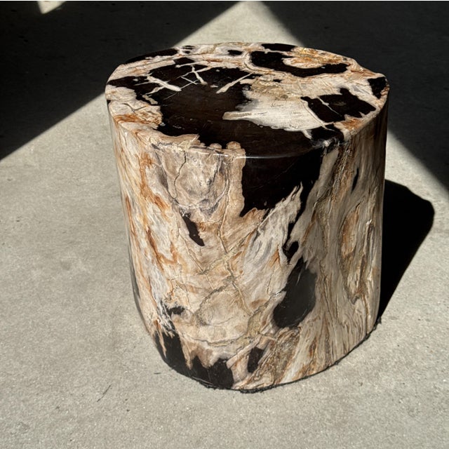 Side Table in Petrified Wood with Black Spots, 1980s For Sale - Image 12 of 18