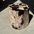Side Table in Petrified Wood with Black Spots, 1980s For Sale - Image 12 of 18
