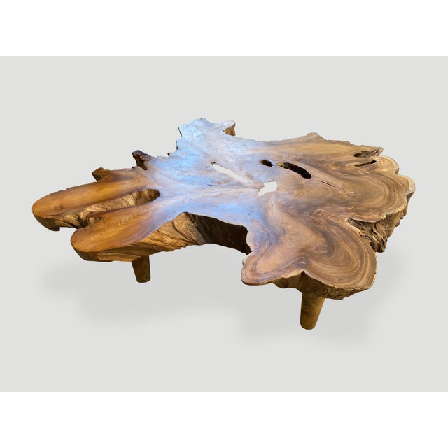 Andrianna Shamaris Amorphous Mid Century Style Coffee Table For Sale In New York - Image 6 of 6