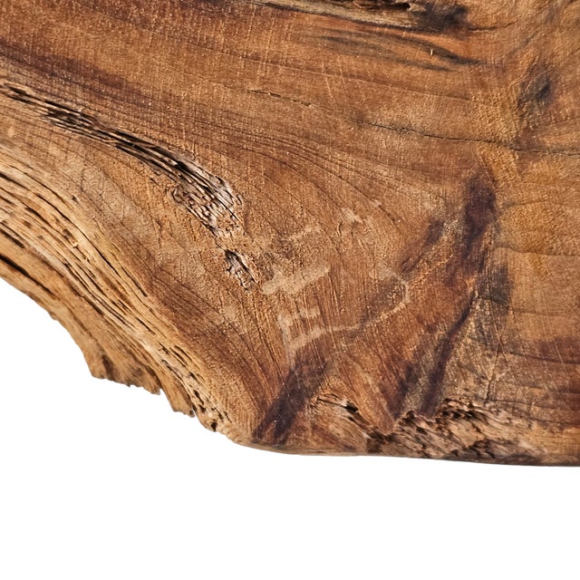 Large Natural Driftwood Sculpture on Stand Organic Modern Art 19" For Sale - Image 11 of 11