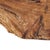 Large Natural Driftwood Sculpture on Stand Organic Modern Art 19" For Sale - Image 11 of 11