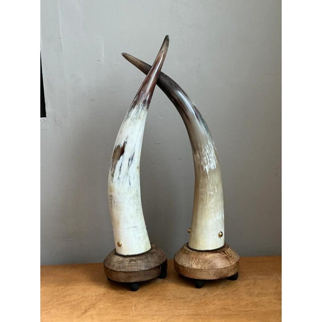 Late 20th Century Vintage Horn and Wood Accent Lamps - Pair For Sale - Image 5 of 12