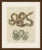 This antique snake print shows two serpents in looping coils, one boldly patterned in purple, yellow and pale blue and the...