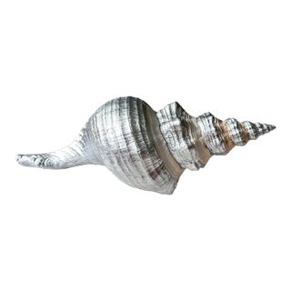 Oversized 14” Silver Leaf Horse Conch Shell Sculpture – Natural Coastal Object, Hand-Finished Organic Luxe Decor For Sale