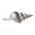 Oversized 14” Silver Leaf Horse Conch Shell Sculpture – Natural Coastal Object, Hand-Finished Organic Luxe Decor For Sale