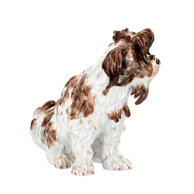 Meissen Porcelain Lapdog Figuirine For Sale - Image 3 of 8