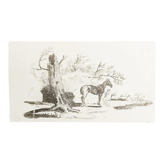 Small Late 18th Century Thomas Bewick Woodcut of Old Horse For Sale