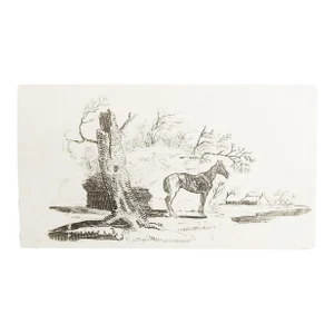 Small Late 18th Century Thomas Bewick Woodcut of Old Horse