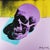 Andy Warhol "Skull" Limited Edition Lithograph by CMOA. Limited Edition Lithograph n 40 /500 - Numbers signed in pencil....