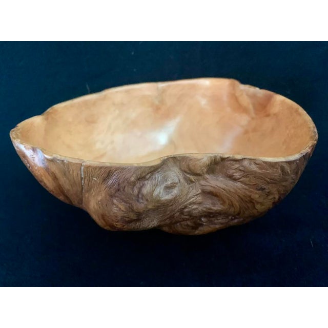 Handcrafted Spruce Burl Wood Bowl With Live Edge For Sale - Image 9 of 12