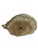 Vintage English Concrete Swan Planter – Weathered Garden Sculpture For Sale - Image 12 of 13