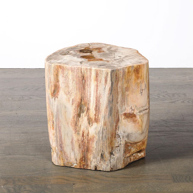 Polished Petrified Wood Side Table/Stool W/ Agate Inclusions & Natural Graining For Sale - Image 4 of 10