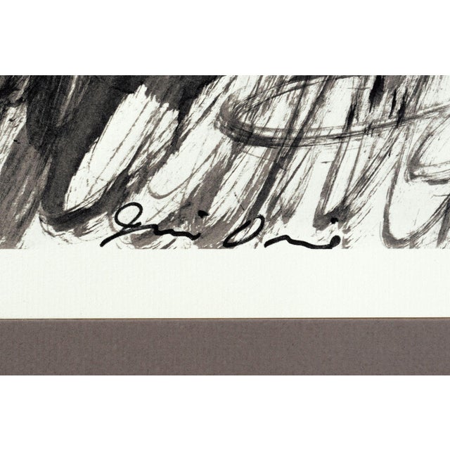 Jim Dine – Botanical, Offset Lithograph, 1979 For Sale - Image 4 of 4