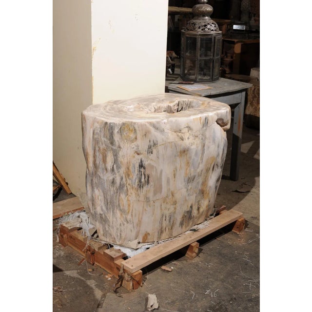 Early 21st Century Large Petrified Wood Table Base For Sale - Image 5 of 12
