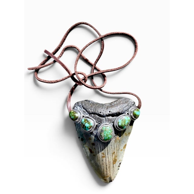 Roie Jaque Navajo Sterling Silver Turquoise Megalodon Tooth Pendant Necklace For Sale - Image 10 of 18