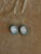 Antique Grand Tour Plaster Intaglios by Giovanni Liberotti - A Pair For Sale - Image 12 of 12