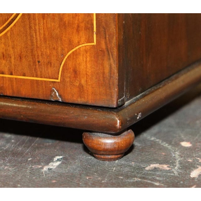 Georgian Sheraton Collectors Cabinet, 1820s For Sale - Image 11 of 18