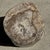 Large Side Table in White and Grey Petrified Wood For Sale - Image 12 of 18