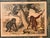 Set of Nine Gotthilf Von Schubert Natural History Chromolithographs For Sale - Image 15 of 17