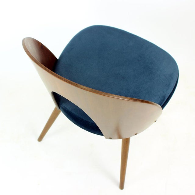 Tatra Chairs in Walnut and Velvet by Šuman, 1960s, Set of 6 For Sale - Image 10 of 18