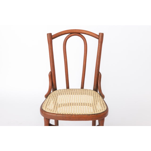Antique Bentwood Chair in the Style of Thonet No. 56 | Austria, 1930s Elegant antique bentwood chair in the style of the...