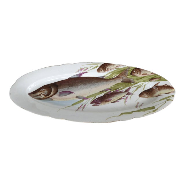 Antique Bawo Dotter Karlsbad Bbd Carlsbad Austria HandPainted Fish