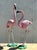 Pink Vintage Coastal Cast Iron Flamingos - A Pair For Sale - Image 8 of 8
