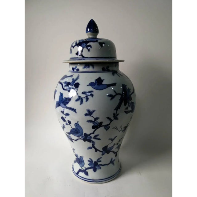 Chinese Chinese Blue and White Decorative Porcelain Ginger Jar With Birds on Tree For Sale - Image 3 of 11