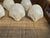 1980s Shell Shaped Napkin Rings Set/5 For Sale - Image 5 of 6