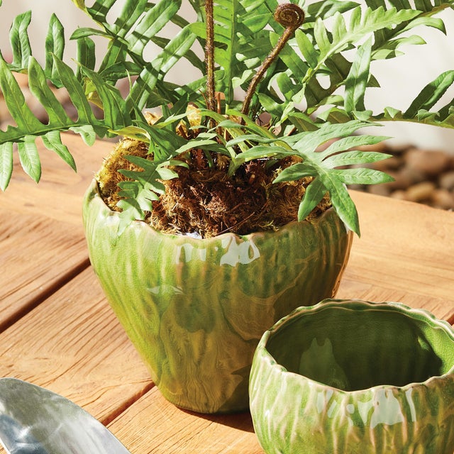 Kenneth Ludwig Chicago Evelyn Pot Large For Sale - Image 4 of 4