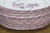 Antique Wedgwood Etruria England Mennecy 5283 Dinner Serving Plates 9" - Set of 11 For Sale - Image 6 of 14