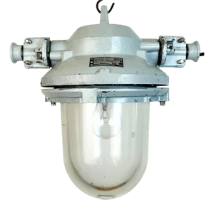 Vintage Industrial Cast Aluminium Light from Elektrosvit, 1970s