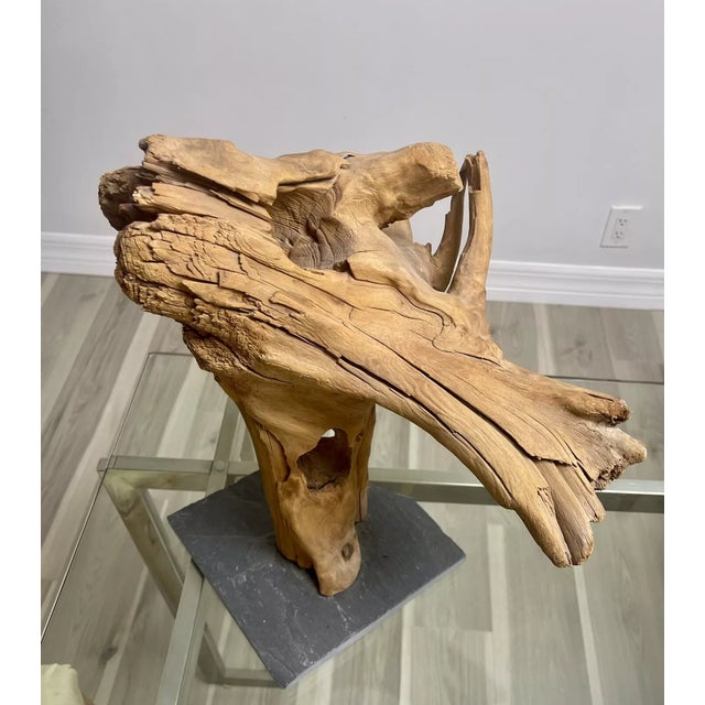 Abstract Vintage Driftwood Tabletop Abstract Sculpture 70s Organic Natural Art Decor 17” For Sale - Image 3 of 8