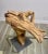 Abstract Vintage Driftwood Tabletop Abstract Sculpture 70s Organic Natural Art Decor 17” For Sale - Image 3 of 8