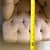 George Smith Upholstered Child's Chair For Sale - Image 4 of 10