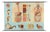 Mid-Century School Map of Digestion, Germany, 1960s For Sale