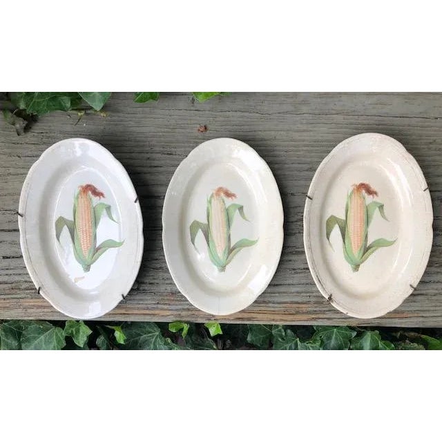 Ceramic Antique Latona Corn Patterned Oval Plates - Set of 3 For Sale - Image 7 of 7