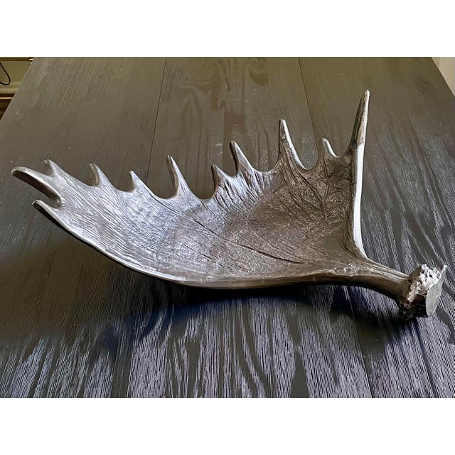 Farmhouse Vintage Moose Antler Centerpiece Tray, Bronze Metel For Sale - Image 3 of 8