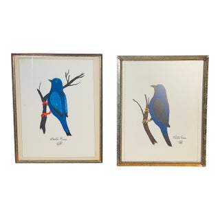 1960s Pair Costa Rica Birds Mixed Media on Paper For Sale